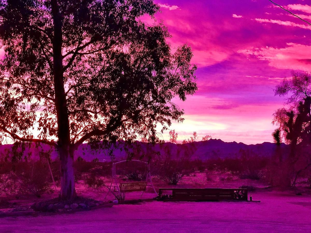Popular Homestead! Location, Stargaze, Views! โจชัวทรี ภายนอก รูปภาพ