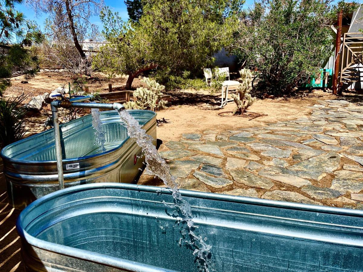 Popular Homestead! Location, Stargaze, Views! โจชัวทรี ภายนอก รูปภาพ