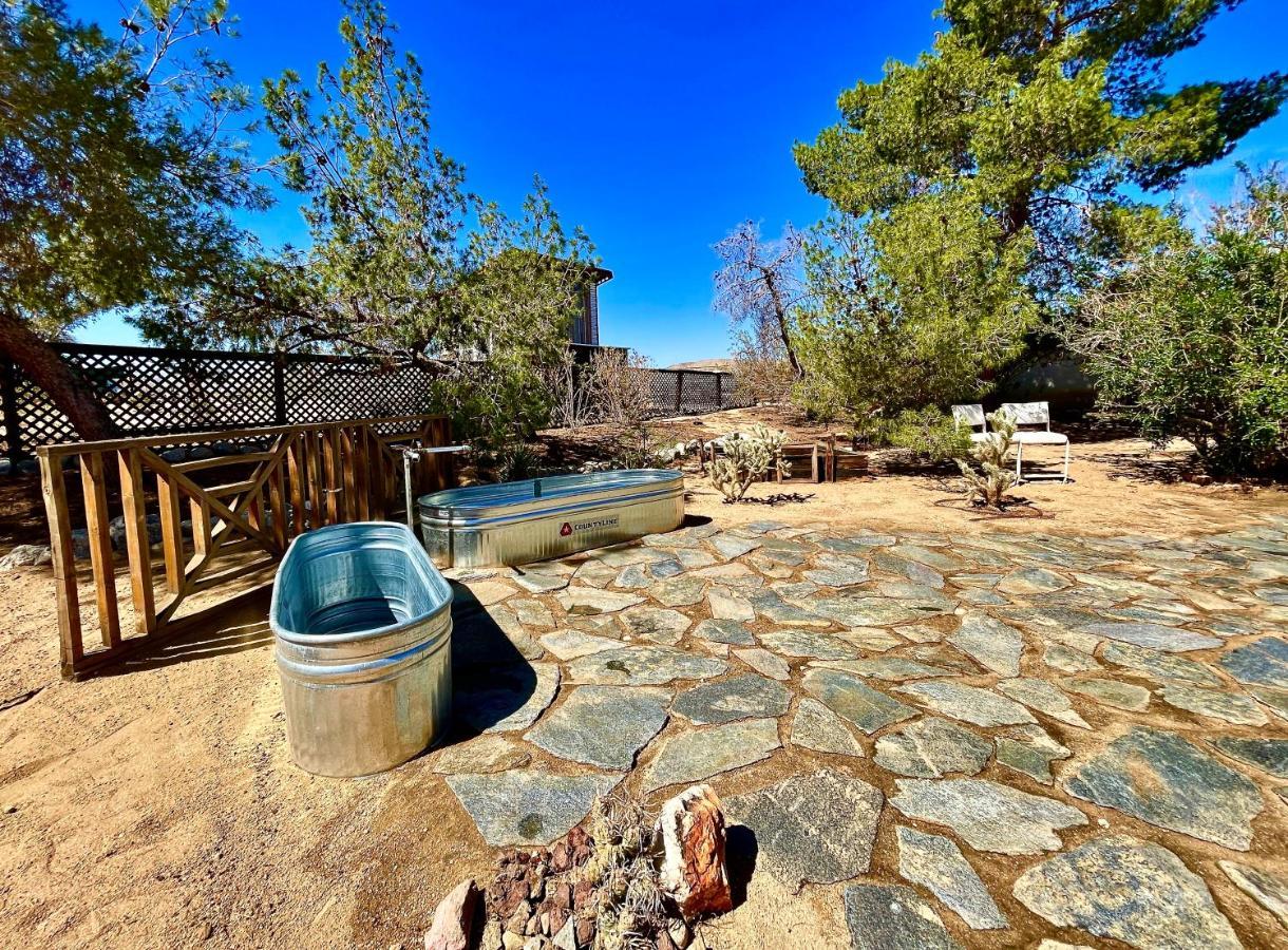 Popular Homestead! Location, Stargaze, Views! โจชัวทรี ภายนอก รูปภาพ