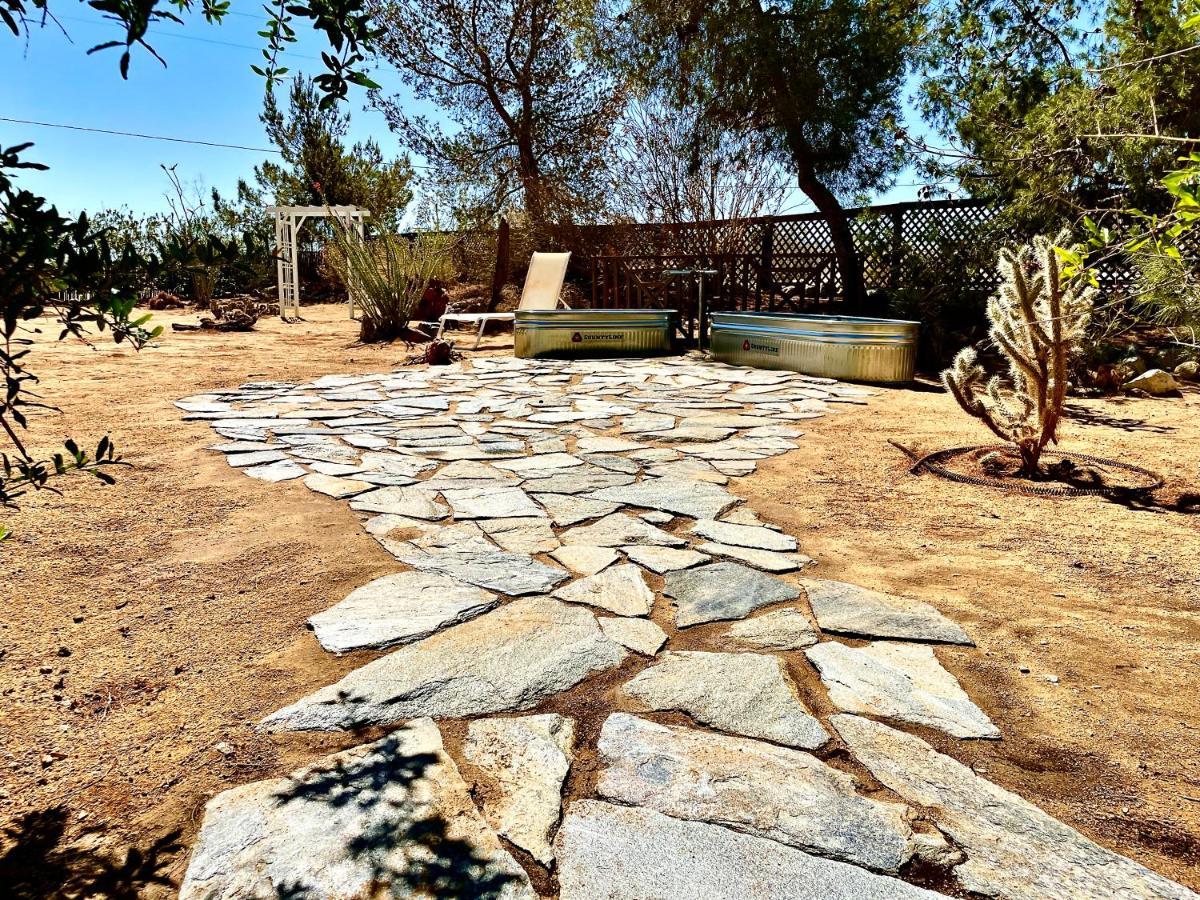 Popular Homestead! Location, Stargaze, Views! โจชัวทรี ภายนอก รูปภาพ