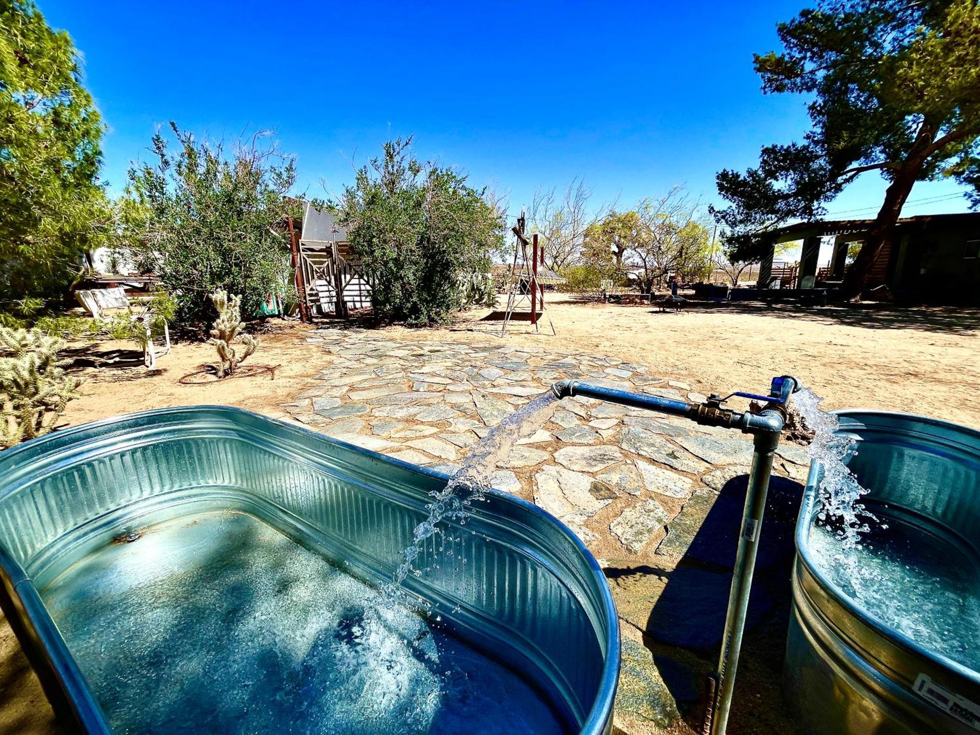 Popular Homestead! Location, Stargaze, Views! โจชัวทรี ภายนอก รูปภาพ